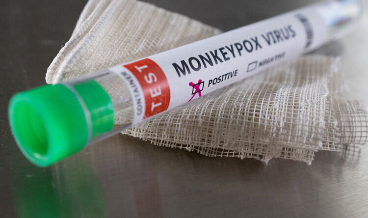 Рост случаев обезьяньей оспы в Нигерии | Новости за границей