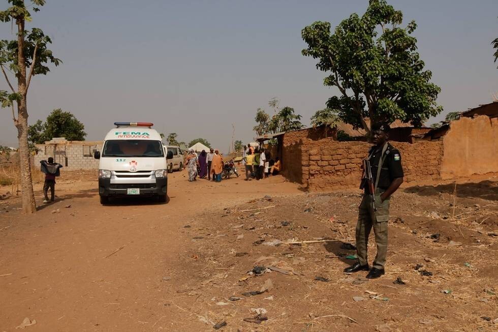 Mass Shooting Claims 56 Lives in Borno, Nigeria