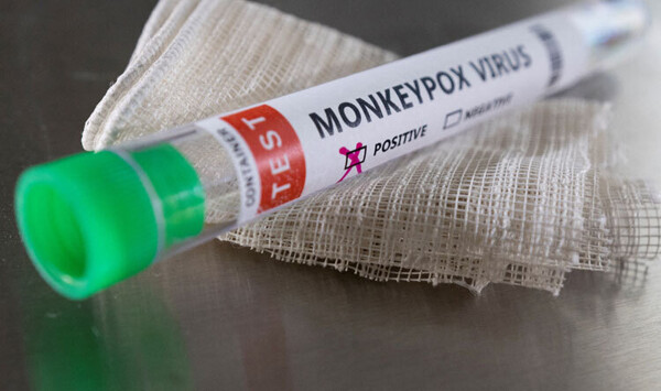 Рост случаев обезьяньей оспы в Нигерии | Новости за границей